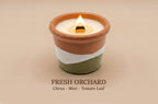 A lit ceramic candle in a terracotta-colored pot with a white wax top and a white and sage green band around the middle, shown on a beige background with the text 'FRESH ORCHID Citrus - Mint - Tomato Leaf' underneath.