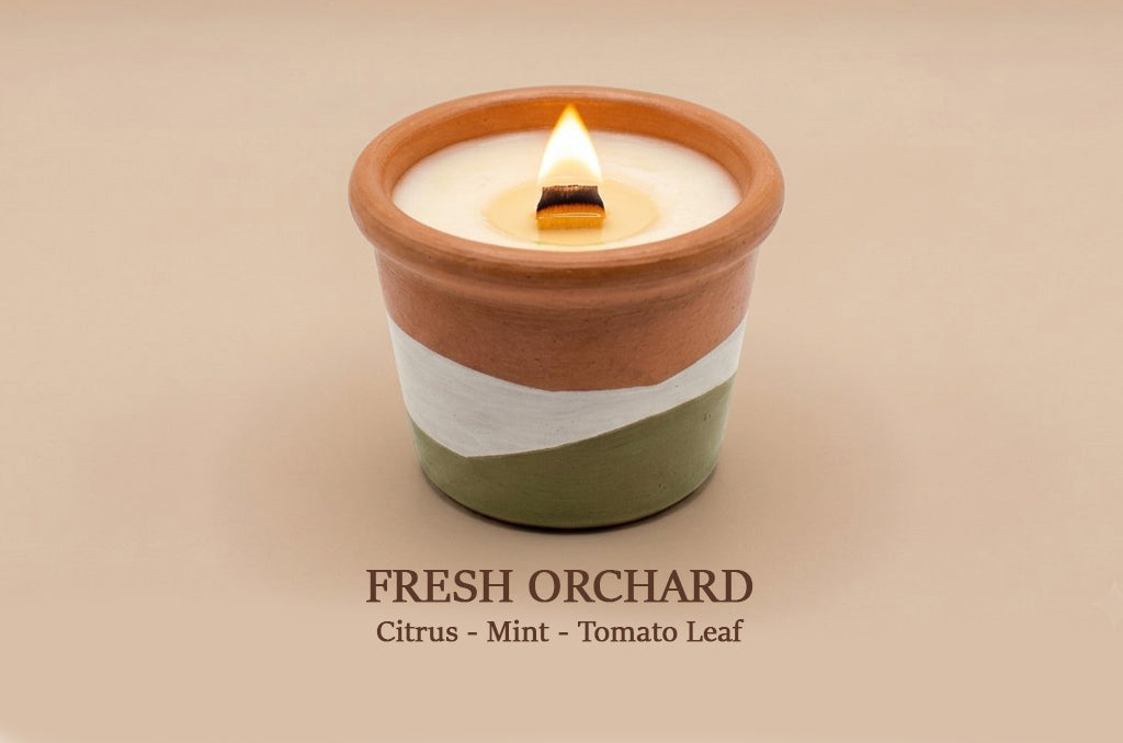 A lit ceramic candle in a terracotta-colored pot with a white wax top and a white and sage green band around the middle, shown on a beige background with the text 'FRESH ORCHID Citrus - Mint - Tomato Leaf' underneath.