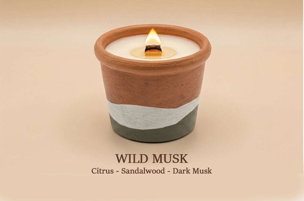 A lit scented candle in a terracotta-colored ceramic pot with a white wax top and a dark gray lower band, shown on a warm beige background with the text 'WILD MUSK Citrus - Sandalwood - Dark Musk' below.