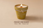 A small lit candle in a textured yellow-green ceramic pot with a white string tied around the middle, shown on a warm beige background. Text below reads 'FRESH ORCHID' with 'Citrus - Mint - Tomato Leaf' underneath.