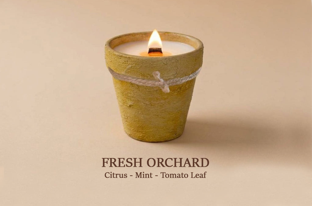 A small lit candle in a textured yellow-green ceramic pot with a white string tied around the middle, shown on a warm beige background. Text below reads 'FRESH ORCHID' with 'Citrus - Mint - Tomato Leaf' underneath.